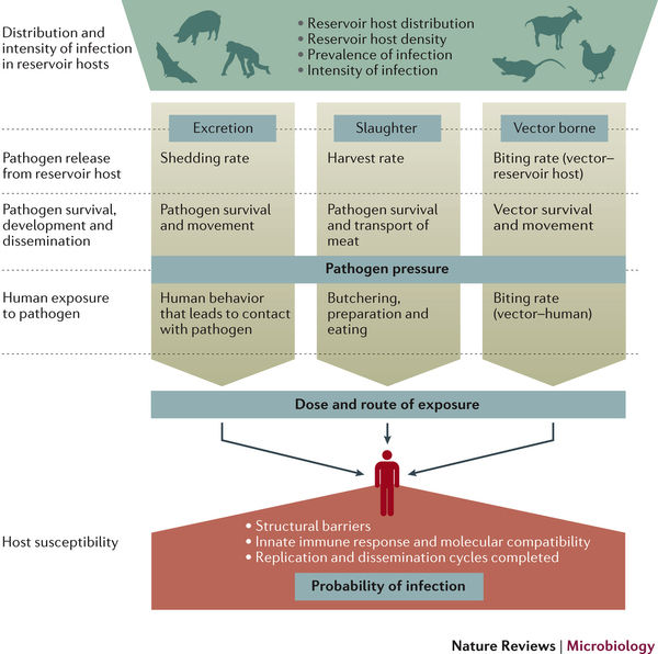Transmission of disease between species (spillover) is a profound issue for human, livestock and wildlife health. The conditions that enable spillover are dynamic and occur over many scales of time, space and ecological organization. We are interest…