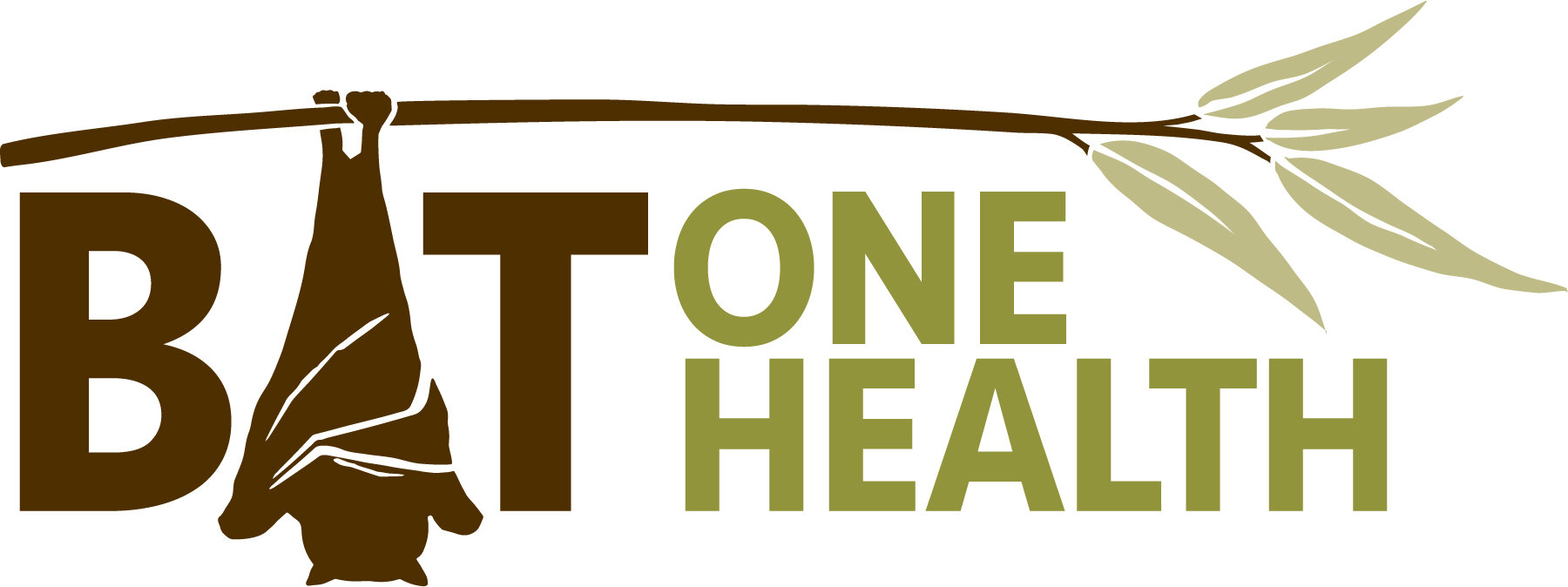 BatOneHealth_Logo_Color.jpg