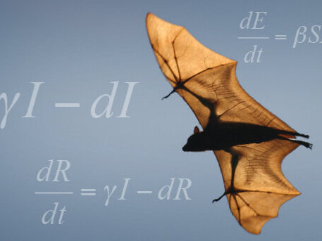 BatEquationHeader+WHITE copy cropped.jpg